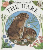 Hare (Animal World) 0865928533 Book Cover