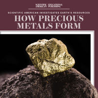 How Precious Metals Form 172535280X Book Cover