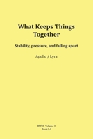What Keeps Things Together 3903679151 Book Cover