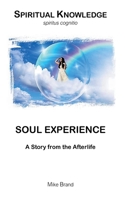 Soul Experience: A Story from the Afterlife 3695728566 Book Cover