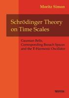 Schr Dinger Theory on Time Scales 3828888216 Book Cover