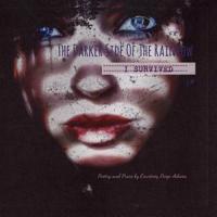 The Darker Side of The Rainbow 1723473340 Book Cover