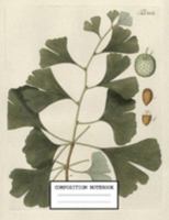 Composition Notebook: Back to School Flower Notebooks for Students 1691160954 Book Cover