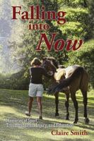 Falling into Now: Memories of Sport, Traumatic Brain Injury, and Education 1532026404 Book Cover