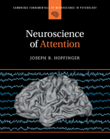 Neuroscience of Attention (Cambridge Fundamentals of Neuroscience in Psychology) 1316513297 Book Cover