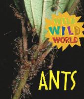 Ants 1410300544 Book Cover