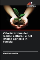 Valorizzazione dei residui colturali e del letame agricolo in Tunisia (Italian Edition) 620976567X Book Cover