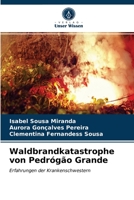 Waldbrandkatastrophe von Pedrógão Grande 6203190004 Book Cover