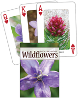 Wildflowers of the Rocky Mountains Playing Cards 159193396X Book Cover