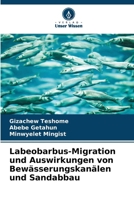 Labeobarbus-Migration und Auswirkungen von Bewässerungskanälen und Sandabbau (German Edition) 6208425824 Book Cover