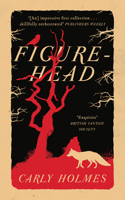 Figurehead 191459505X Book Cover