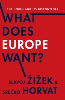 What Does Europe Want?: The Union and its Discontents 0231171072 Book Cover
