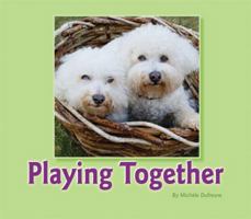 Playing Together 1584533803 Book Cover