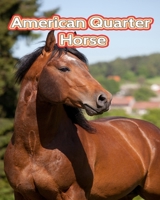 American Quarter Horse: Facts Book B0C1DTY52G Book Cover