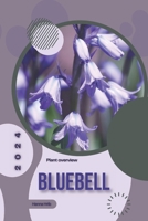 Bluebell: Simply beginners guide B0CVC5DBQG Book Cover