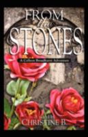 FROM the STONES: A Colleen Broadhurst Adventure 1593305303 Book Cover