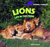 Lions: Life in the Pride 1448826128 Book Cover