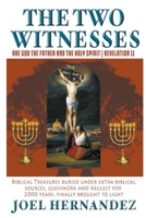 The Two Witnesses are God the Father and The Holy Spirit - Revelation 11: Biblical Treasures Buried Under Extra-Biblical Sources, Guesswork and Neglect For 2,000 Years Finally Brought to Light 164559601X Book Cover