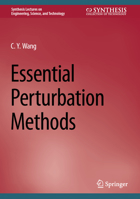 Essential Perturbation Methods 3031265440 Book Cover