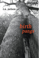 Birth Pangs 1592443680 Book Cover
