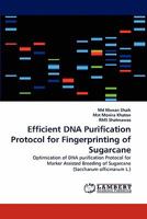 Efficient DNA Purification Protocol for Fingerprinting of Sugarcane: Optimization of DNA purification Protocol for Marker Assisted Breeding of Sugarcane 3844394621 Book Cover