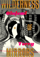 In a Wilderness of Mirrors 1632063980 Book Cover