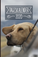 Tageskalender 2020: Terminkalender ca DIN A5 weiß über 370 Seiten I 1 Tag eine Seite I Jahreskalender I Labrador I Hunde 1702083772 Book Cover