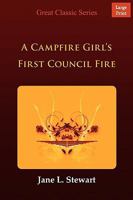 The Camp Fire Girls in the Woods; or, Bessie King's First Council Fire 1516801954 Book Cover