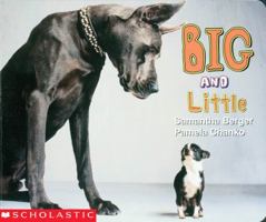 Big and Little (Learning Center Emergent Readers) 0439155223 Book Cover