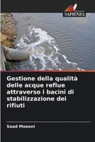Gestione della qualità delle acque reflue attraverso i bacini di stabilizzazione dei rifiuti (Italian Edition) 6207620143 Book Cover