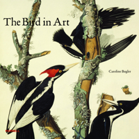 The Bird in Art 1858945682 Book Cover