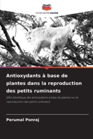 Antioxydants à base de plantes dans la reproduction des petits ruminants (French Edition) 6207745310 Book Cover