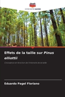 Effets de la taille sur Pinus elliottii (French Edition) 6207760654 Book Cover