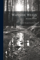 Wayside Wells; Or, Thoughts From Deepdale 1022823361 Book Cover