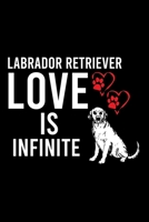 LABRADOR RETRIEVER LOVE IS INFINITE: Cute Labrador Retriever Default Ruled Notebook, Great Accessories & Gift Idea for Labrador Retriever Owner & ... Ruled Notebook With An Inspirational Quote. 169648023X Book Cover