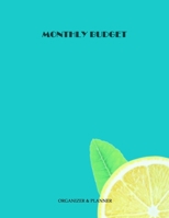 Monthly Budget Organizer & Planner: Monthly Budget Planner & Bill Organizer|Undated Start Anytime|Financial Budgeting Book & Expense Tracker|Control Your Finances 1710939664 Book Cover