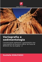 Variografia e sedimentologia (Portuguese Edition) 6208591724 Book Cover