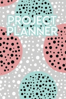 Project Planner: 90 Day Goal Setting Project Planner 169659944X Book Cover