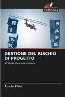 Gestione del Rischio Di Progetto (Italian Edition) 6209849024 Book Cover