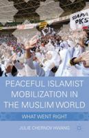 Peaceful Islamist Mobilization in the Muslim World: What Went Right 0230617670 Book Cover