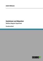 Sozialstaat und Migration: Welfare Magnet Hypothesis 3656117195 Book Cover