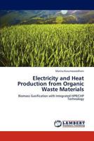 Electricity and Heat Production from Organic Waste Materials 3659284114 Book Cover