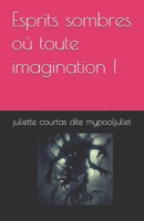 Esprits sombres où toute imagination ! (French Edition) B0FLQYCZB8 Book Cover