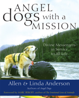 Angel Dogs: Divine Messengers of Love 1606710109 Book Cover