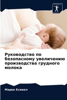 Руководство по безопасн& 6203351598 Book Cover
