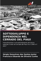 SOTTOSVILUPPO E DIPENDENZA NEL CERRADO DEL PIAUI: Intensificazione e sovrasfruttamento del lavoro salariato rurale nel cerrado del Piauí tra il 1990 e il 2017 6204161547 Book Cover