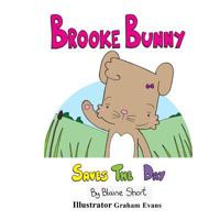 Brooke Bunny saves the day 152279316X Book Cover