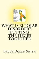 What is Bi Polar Disorder? Putting the Pieces Together 1484042808 Book Cover