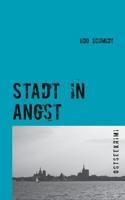 Stadt in Angst: Ostseekrimi 3740785691 Book Cover