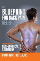 The Blueprint For Back Pain Relief: The Essential Guide To Non-Surgical Solutions 1599329026 Book Cover